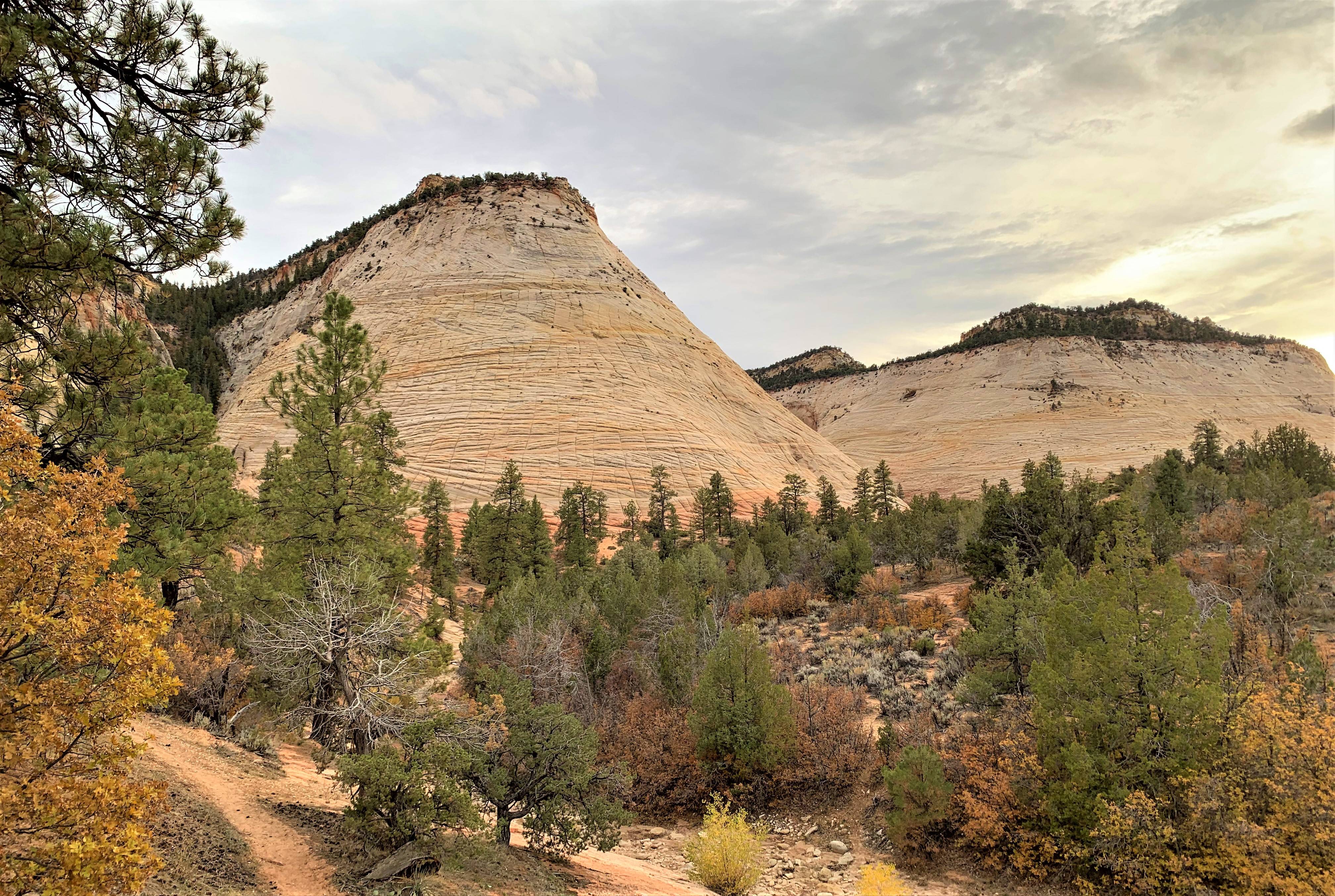 Zion NP